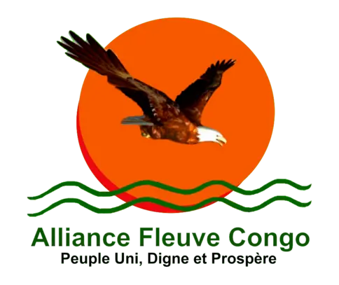 AFCM23 | e-Government